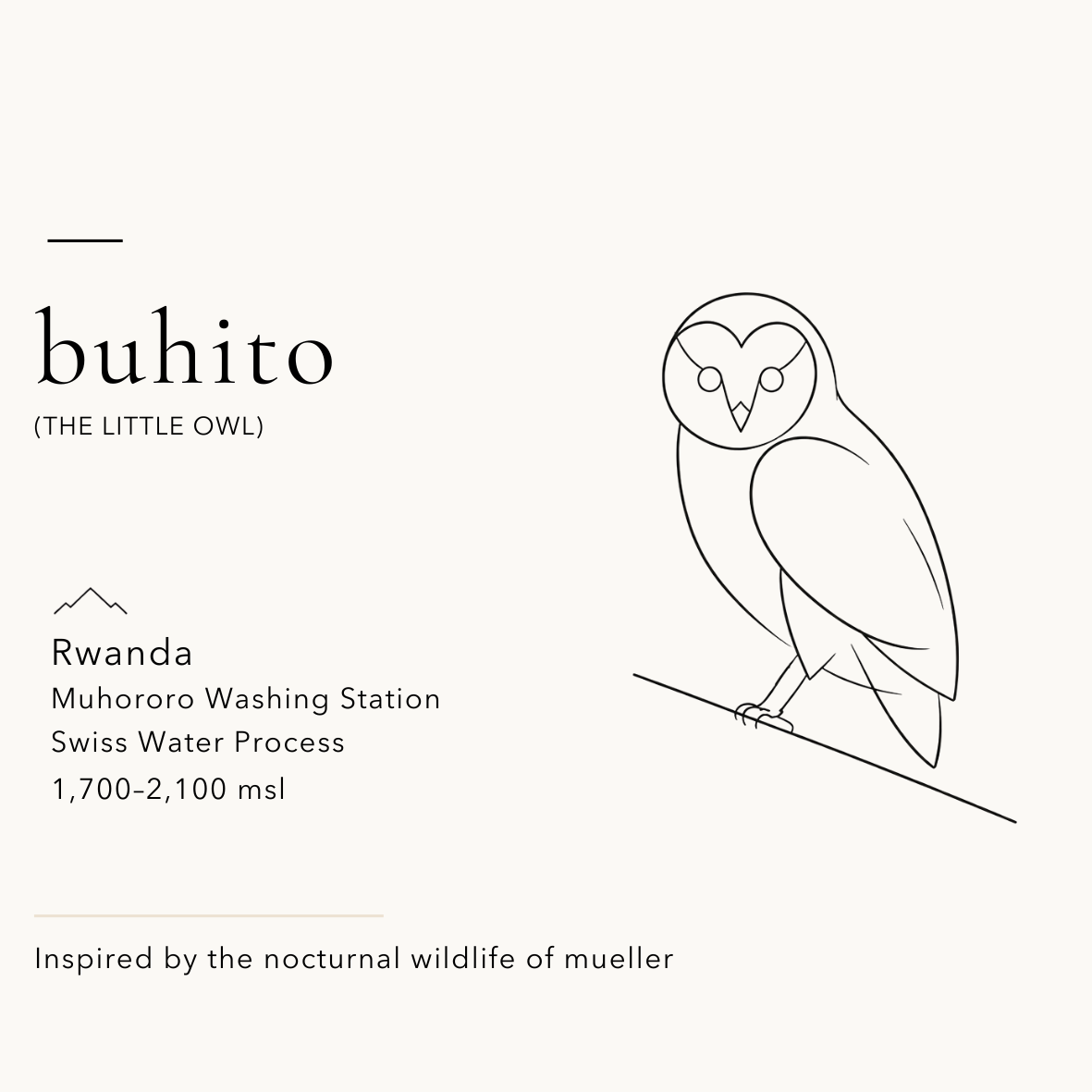 Buhito — Little Owl