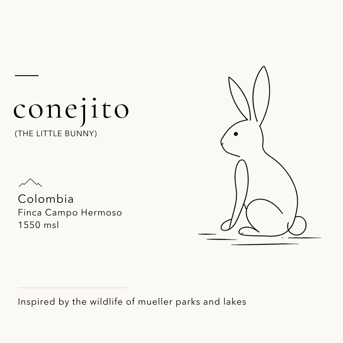 Conejito — Little Bunny